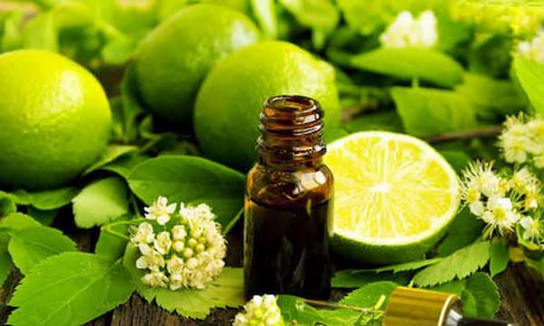 تصویر 3 از قیمت روز اسانس لیمو ترش